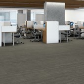 Carpete placa Shaw Mainstreet Intellect 45505 masterful mescla clara 60,9cm x 60,9cm