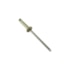 Rebite Newfix CAS314 bege 1000 unidades