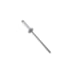 Rebite Newfix CAS314 branco caixa 1000 unid