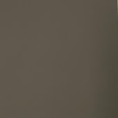 Revestimento Lastra EspaçoWall Colors Mocca 1220 x 2600 mm